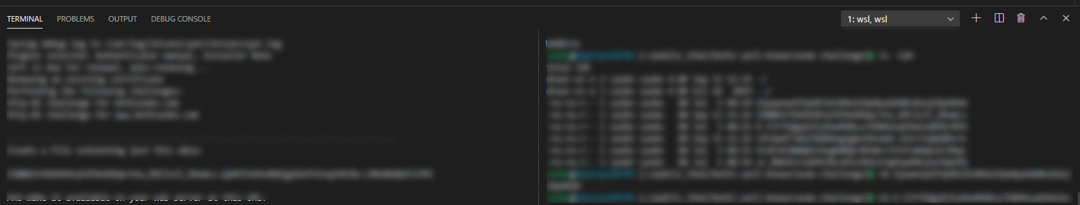 Screenshot of Split Terminal in VS Code